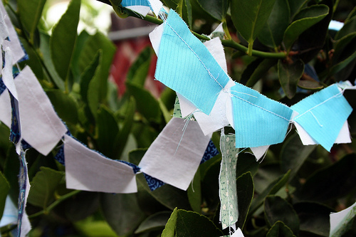Turquoise in tree